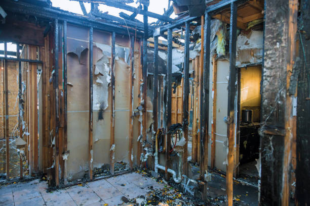 Professional Fire Damage Repair technician working in Richwood, OH